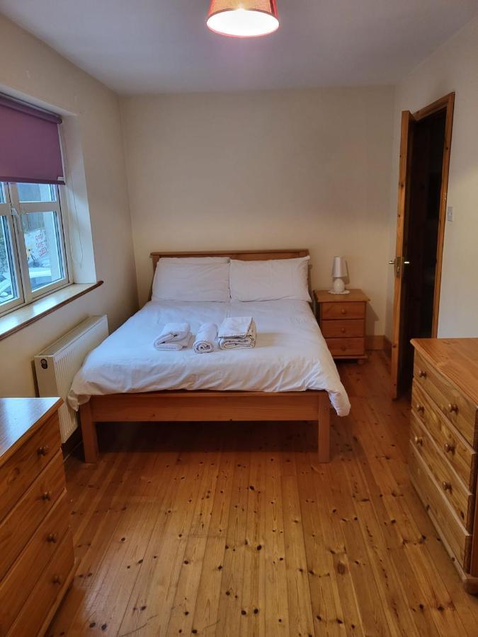 Willa Townhouse 2 Barrow Lane Carlow Zewnętrze zdjęcie