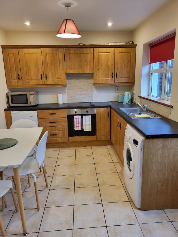 Willa Townhouse 2 Barrow Lane Carlow Zewnętrze zdjęcie
