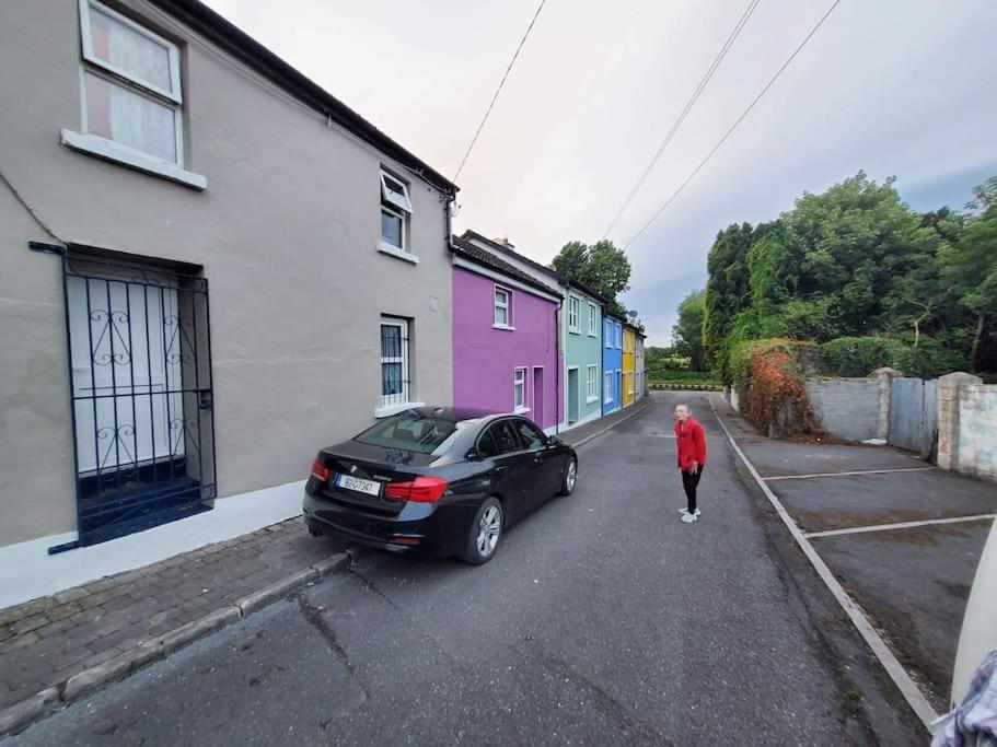Willa Townhouse 2 Barrow Lane Carlow Zewnętrze zdjęcie