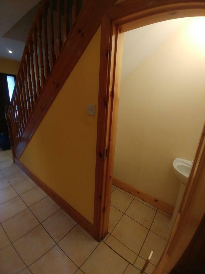Willa Townhouse 2 Barrow Lane Carlow Zewnętrze zdjęcie