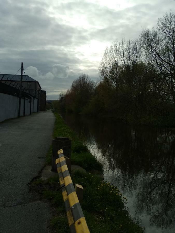 Willa Townhouse 2 Barrow Lane Carlow Zewnętrze zdjęcie